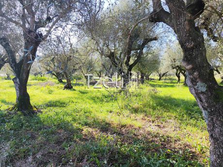 Οικόπεδο 806 τ.μ. για πώληση