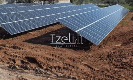 Οικόπεδο 4.018 τ.μ. για πώληση