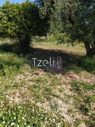 Οικόπεδο 653 τ.μ. για πώληση, Αχαΐα, Πάτρα