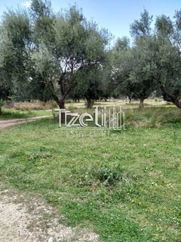 Οικόπεδο 653 τ.μ. για πώληση