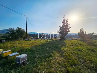 Οικόπεδο 6.208 τ.μ. για πώληση, Αχαΐα, Ωλένια-thumb-20