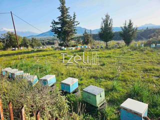 Οικόπεδο 6.208 τ.μ. για πώληση, Αχαΐα, Ωλένια-thumb-4