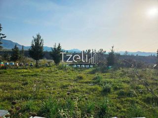 Οικόπεδο 6.208 τ.μ. για πώληση, Αχαΐα, Ωλένια-thumb-23