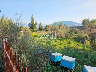 Οικόπεδο 6.208 τ.μ. για πώληση, Αχαΐα, Ωλένια-thumb-22
