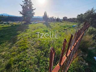 Οικόπεδο 6.208 τ.μ. για πώληση, Αχαΐα, Ωλένια-thumb-17