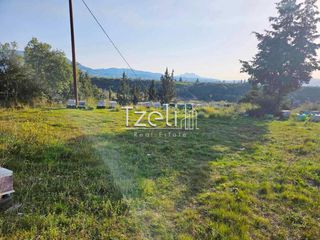 Οικόπεδο 6.208 τ.μ. για πώληση, Αχαΐα, Ωλένια-thumb-8
