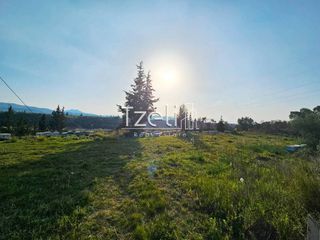 Οικόπεδο 6.208 τ.μ. για πώληση, Αχαΐα, Ωλένια-thumb-28