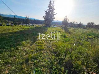 Οικόπεδο 6.208 τ.μ. για πώληση, Αχαΐα, Ωλένια-thumb-7