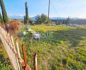 Οικόπεδο 6.208 τ.μ. για πώληση, Αχαΐα, Ωλένια-thumb-11