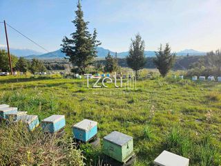 Οικόπεδο 6.208 τ.μ. για πώληση, Αχαΐα, Ωλένια-thumb-19
