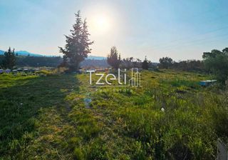 Οικόπεδο 6.208 τ.μ. για πώληση, Αχαΐα, Ωλένια-thumb-25