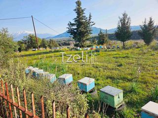 Οικόπεδο 6.208 τ.μ. για πώληση, Αχαΐα, Ωλένια-thumb-12
