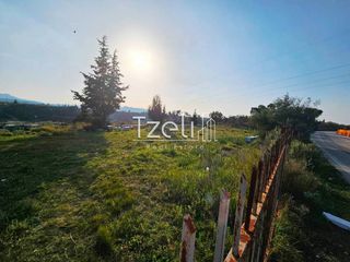 Οικόπεδο 6.208 τ.μ. για πώληση, Αχαΐα, Ωλένια-thumb-5