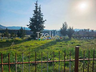 Οικόπεδο 6.208 τ.μ. για πώληση, Αχαΐα, Ωλένια-thumb-18