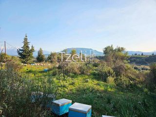 Οικόπεδο 6.208 τ.μ. για πώληση, Αχαΐα, Ωλένια-thumb-10