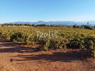 Οικόπεδο 8.100 τ.μ. για πώληση