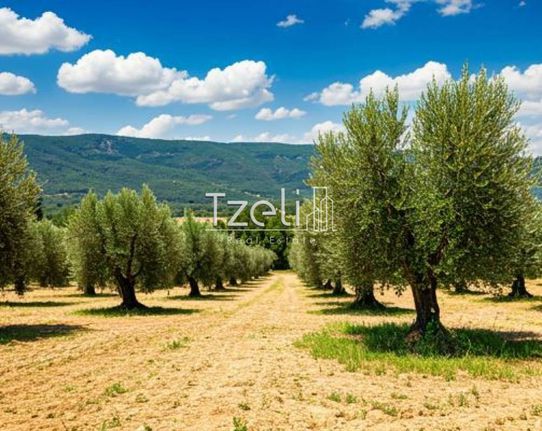 Αγροτεμάχια 4.350 τ.μ. για πώληση, Αχαΐα, Ρίο