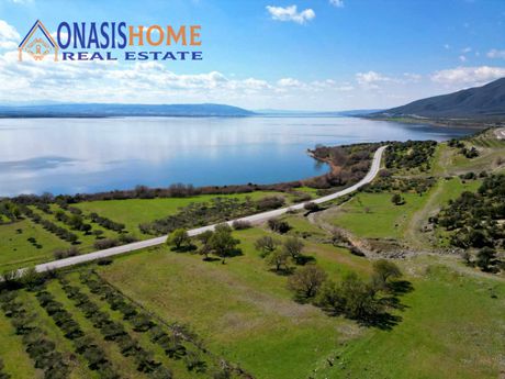 Αγροτεμάχια 2.800τ.μ. για πώληση-Ρεντίνα » Μικρή βόλβη