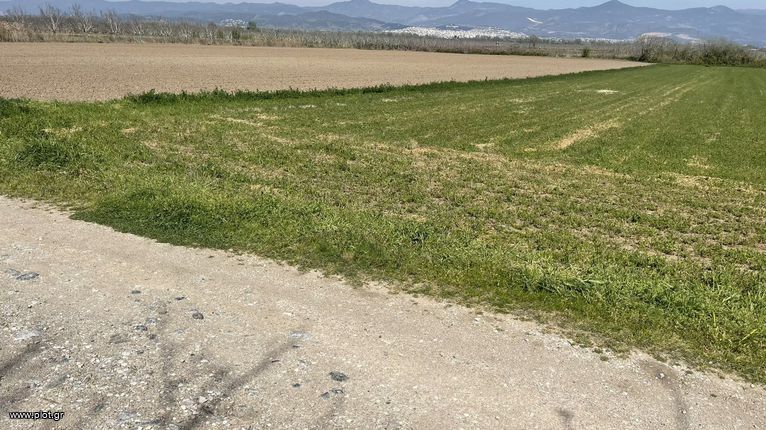 Parcel 12.000 sqm for sale, Phthiotis, Lamia