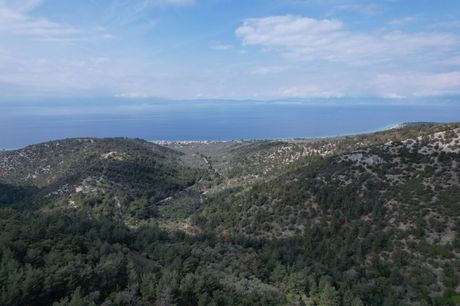 Οικόπεδο 1.000τ.μ. για πώληση-Θάσος » Σωτήρας