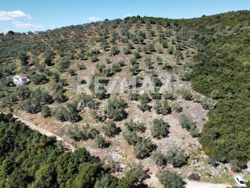 Αγροτεμάχια 22.986 τ.μ. πρός πώληση, Μαγνησία, Σηπιάδα