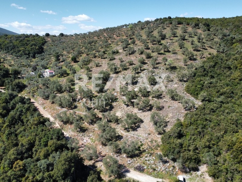 Αγροτεμάχια 22.986 τ.μ. πρός πώληση, Μαγνησία, Σηπιάδα