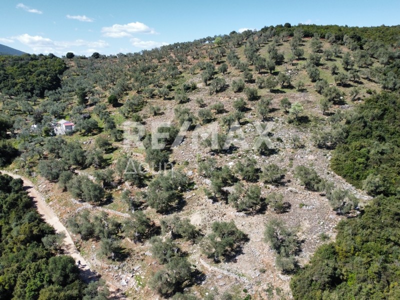 Αγροτεμάχια 22.986 τ.μ. πρός πώληση, Μαγνησία, Σηπιάδα