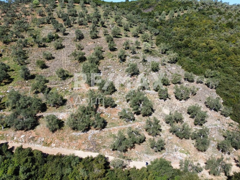 Αγροτεμάχια 22.986 τ.μ. πρός πώληση, Μαγνησία, Σηπιάδα