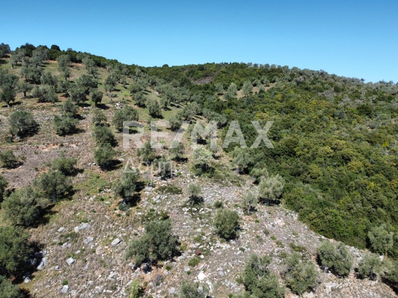 Αγροτεμάχια 22.986 τ.μ. πρός πώληση, Μαγνησία, Σηπιάδα
