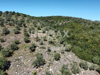 Αγροτεμάχια 22.986 τ.μ. για πώληση