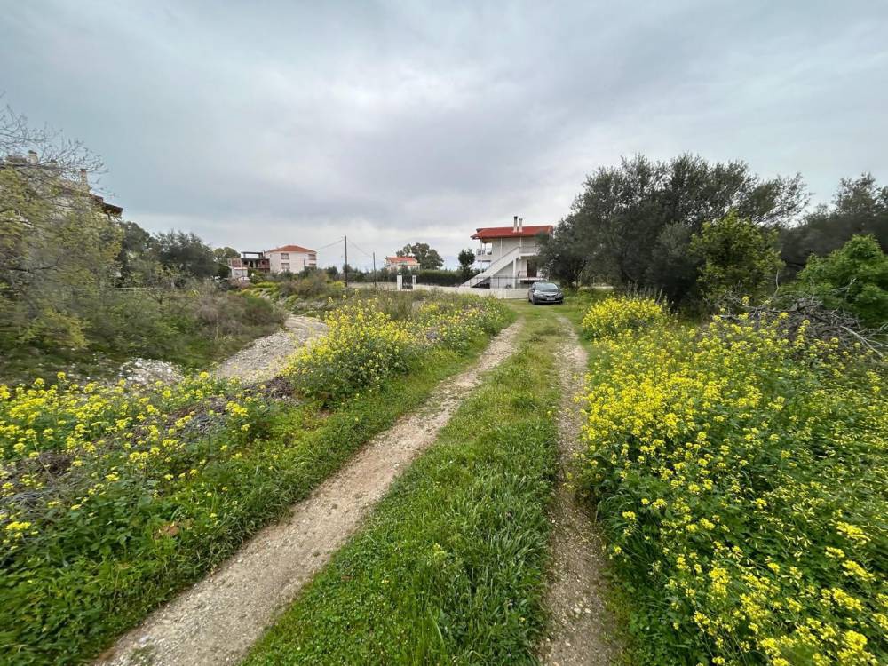 Οικόπεδο 908 τ.μ. πρός πώληση, Κορινθία, Ξυλόκαστρο