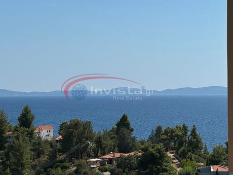 Μονοκατοικία 300τ.μ. για πώληση-Σιθωνία » Νέος μαρμαράς