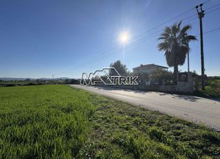 Αγροτεμάχια 2.000 τ.μ. για πώληση