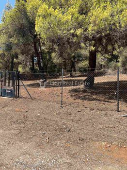 Οικόπεδο 375τ.μ. για πώληση-Ερέτρια » Κέντρο