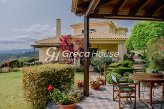 Βίλλα 450 τ.μ. προς πώληση, Γαλάζια Νερά-thumb-19