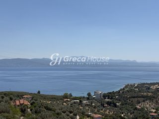 Βίλλα 450 τ.μ. προς πώληση, Γαλάζια Νερά-thumb-21