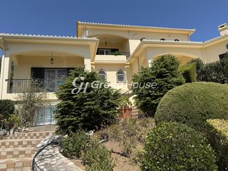 Βίλλα 450 τ.μ. προς πώληση, Γαλάζια Νερά-thumb-7