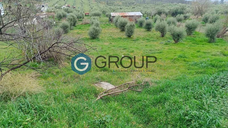 Οικόπεδο 1.240 τ.μ. πρός πώληση, Εβρος, Αλεξανδρούπολη