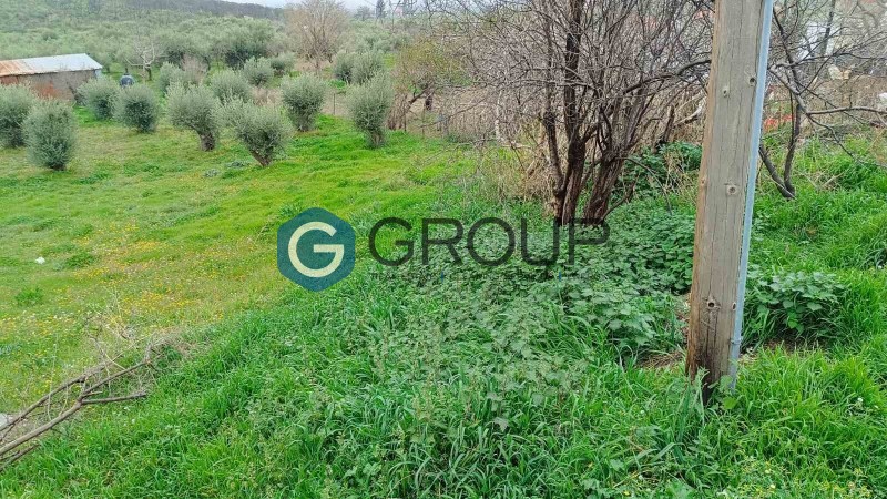 Οικόπεδο 1.240 τ.μ. πρός πώληση, Εβρος, Αλεξανδρούπολη