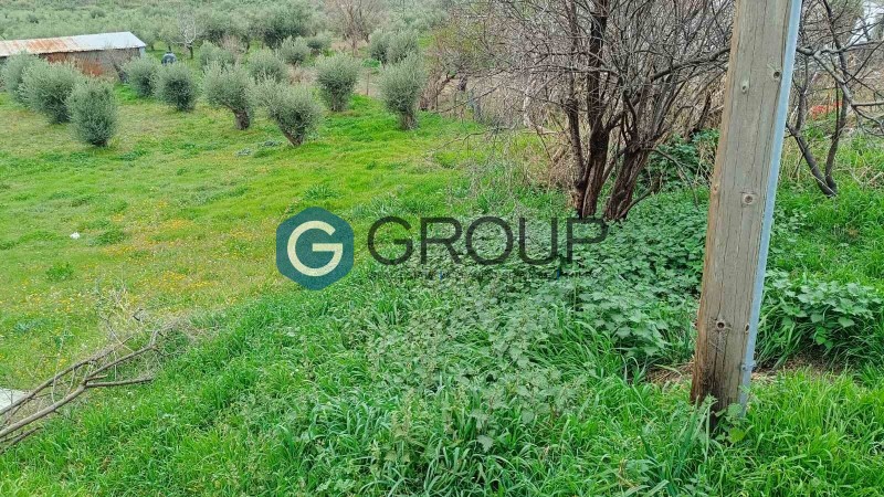 Οικόπεδο 1.240 τ.μ. πρός πώληση, Εβρος, Αλεξανδρούπολη
