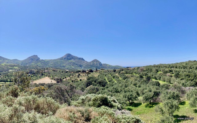 Οικόπεδο 4.000 τ.μ. πρός πώληση, Ν. Ρεθύμνου, Φοινίκας