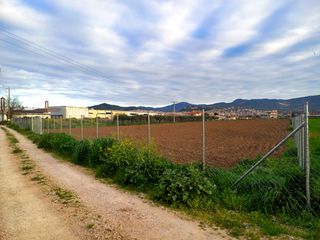 Αγροτεμάχια 13.500 τ.μ. για ενοικίαση, Φθιώτιδας, Λαμία-thumb-5