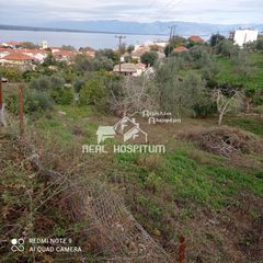 Οικόπεδο 1.300 τ.μ. πρός πώληση, Μεσσηνία, Πεταλίδι-thumb-2