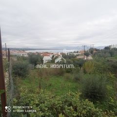 Οικόπεδο 1.300 τ.μ. πρός πώληση, Μεσσηνία, Πεταλίδι-thumb-1