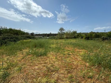 Land plot 800sqm for sale-Arkadi » Pigi