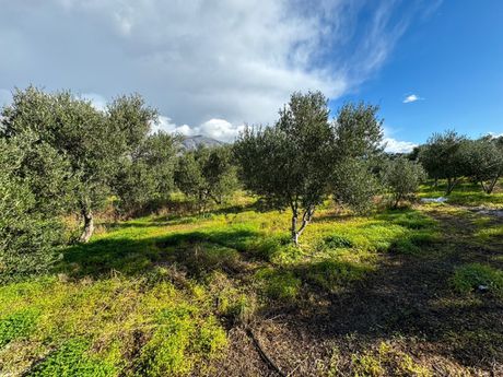Parcel 3.720sqm for sale-Foinikas » Lefkogeia