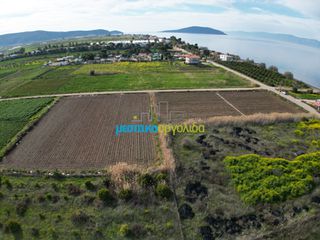 Οικόπεδο 8.336 τ.μ. για πώληση, Αργολίδα, Ασίνη-thumb-12