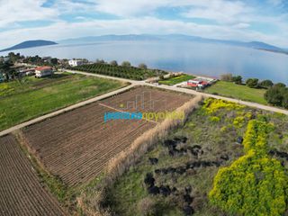 Οικόπεδο 8.336 τ.μ. για πώληση, Αργολίδα, Ασίνη-thumb-5