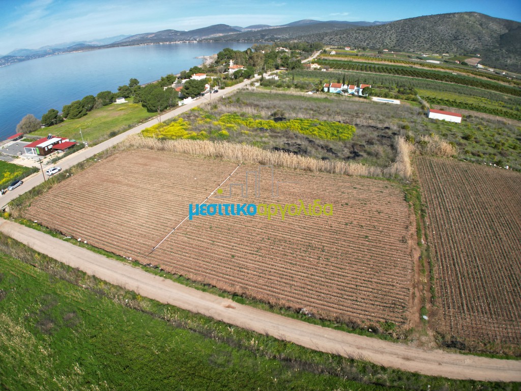 Οικόπεδο 8.336 τ.μ. προς πώληση, Ασίνη