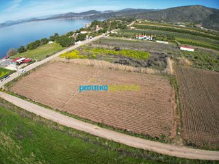 Οικόπεδο 8.336 τ.μ. για πώληση, Αργολίδα, Ασίνη-thumb-3